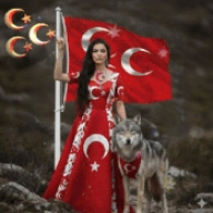 ASENA